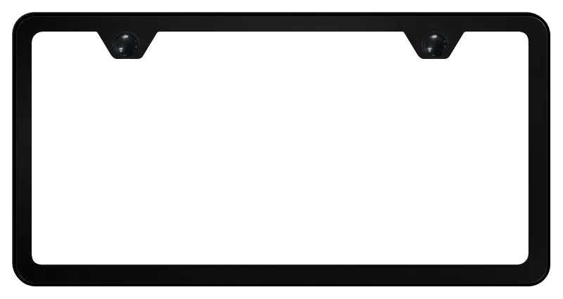 LF.449.B – AUTO GOLD License Plate Frame, 2-Hole Powder Coated Black Stainless Steel With Model Specific Hardware And...